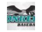Honkers Sports Deck