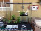 Reptile enclosures and supplies