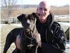 Adopt Bubba a Pit Bull Terrier