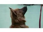 On Call Pool Attendant (15-001)