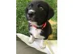 2012 Chevrolet Express LT 3500