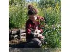 Housegardenpet sitter available