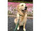 LOOKING for a HOME in the next 3-6 Months