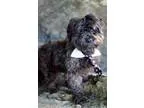 Food Service Supervisor
