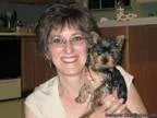 TWO Adorable Yorkshire terriers Puppies Available