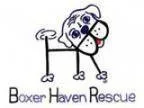 Adopt Foster a Boxer a Boxer