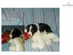 Deal for ranchersfarmersfen cerscattleman