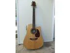 Ashton Accoustic Guitar with digital processing tuner