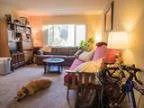 One bedroom in a bdba apartment in Menlo Park with a dog