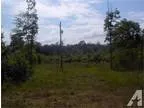 Rainbow City AL Etowah Country Land 5.3400 acre
