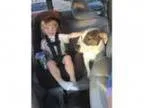 Adopt Snuggles a Jack Russell Terrier
