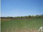 Beech Island SC Lexington Country Land 94.470000 acre
