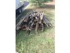 Free fire wood pick up mardi
