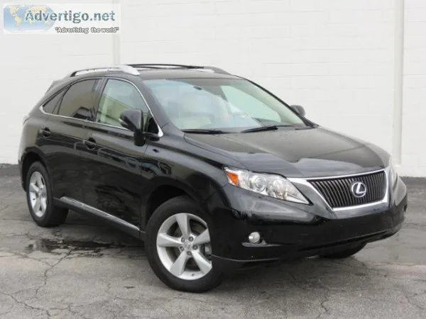 Designer Pups