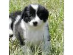 Sale Pending