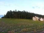 Enjoy the sunset on Country Lots (Boyceville WI)