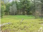 Twin Lake MI Muskegon Country Land 80.000000 acre