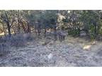 Golf Hunt Fish-Timberon Mountain Lot Septic Water Electric