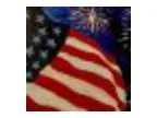 Start July 4th Celebration Early