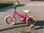 Giant Puddin Bike