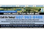 Hickling s Fish Farm Inc