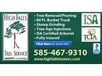 High Falls Tree Service LLC