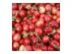 Issaquah Farmers  Market Recipe Swap