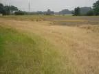 0 Jolly Road