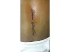 Free rose or script tattoo