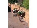Garden bike old rusty converted to display pot plants