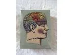 Phrenology Head Porcelain Trinket Box