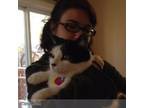 Student Petsitter Available