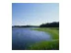 Wild and Scenic Taunton River