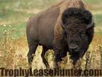 Hunting Lands For Lease - Trophy Lease Hunter