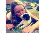 I care for and love your pets as if they were my own