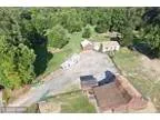 9855 LOMAX ROAD - RealBiz360 Virtual Tour