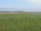Residential Lots and Land