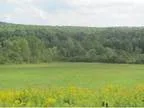Greene Scenic rural 5 acre building lot with room for pets