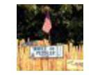 Yankee Peddler Festival