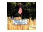 Yankee Peddler Festival