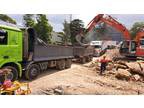 Truck and dog driver wanted 