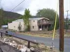 Duke - Male Pit Bull Terrier Mix