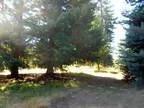 Oregon Mountain Real Estate LLC