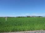 Prime Lot in Estancia
