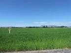 Prime Lot in Estancia