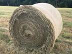 Coastal hay for sale