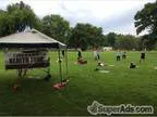 Health Coaches Needed NOW