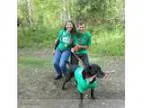 Snowbirds Do You Need A HousePet Sitter (Eagle RiverChugiakAncho