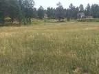 Fox Island 98333- Visit here...