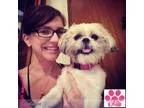 In-Home Pet Care No Matter What the Pet is We ll Love Them as if